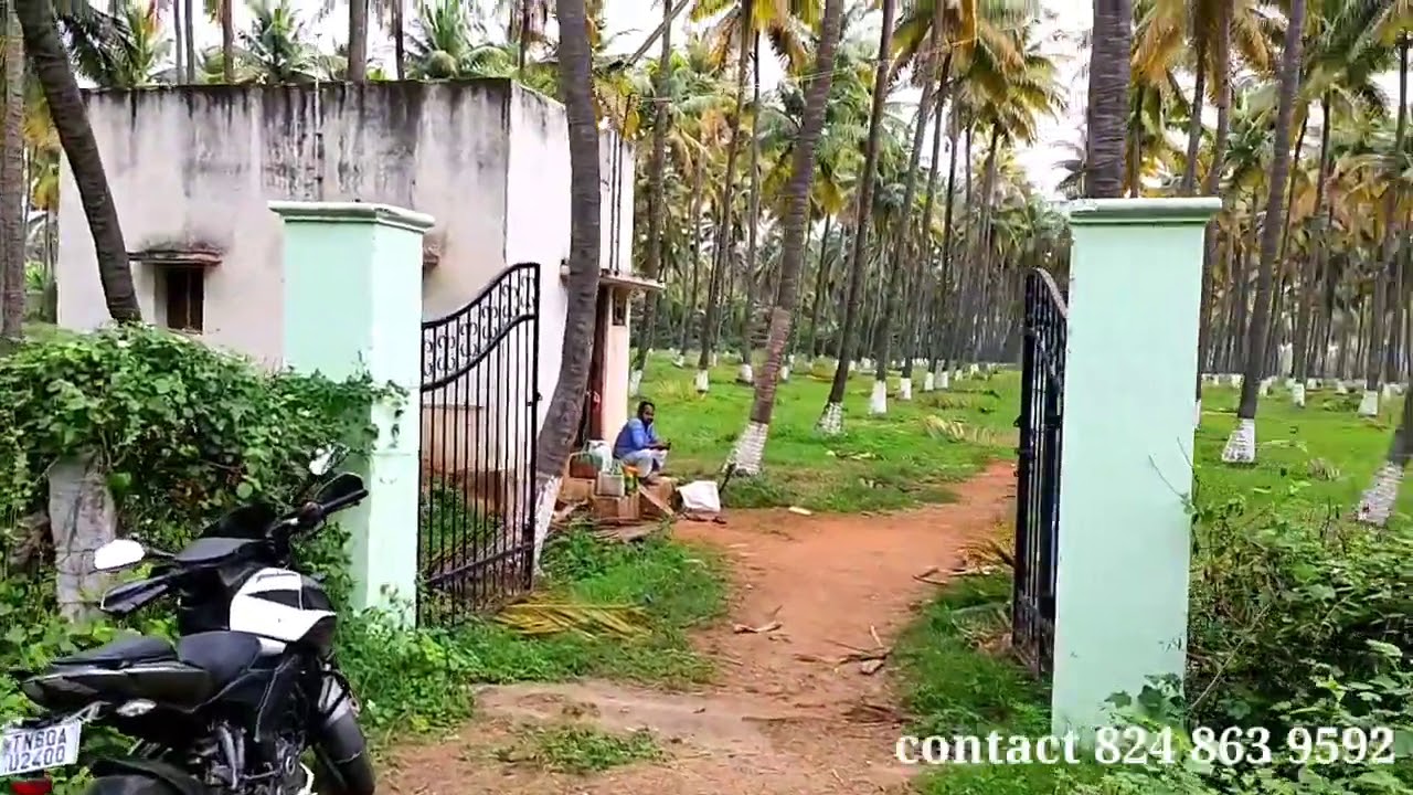 16 For Sale Coconut Farm's Puthupatty KakkilchanPatty 16Kuzhi