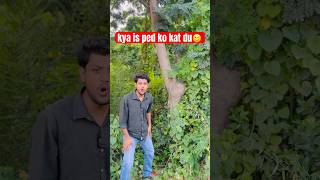 kya me is ped ko kat du #youtubeshorts #comedy #shortsfeed #funny
