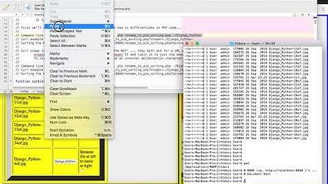PHP Rename Program for Command Line, Curl, Surfing the Net