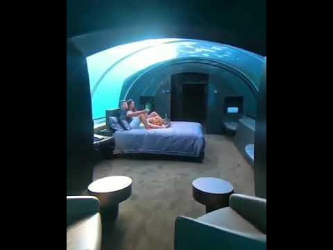 مش محتاج اي جواري حوده بندق حمو بيكا حالات واتس رومانسيه