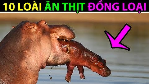 Top 10 loai dong vat an thit dong bon năm 2024