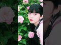 １５年前のデジカメ持ってバラ園行ってきた