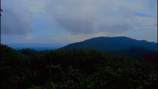 Gardenview And Misc. Is Live