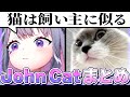 いたずら破天荒ペットJohn catのエピソードまとめ【ホロライブEN翻訳切り抜き/ビブー/古石ビジュー】