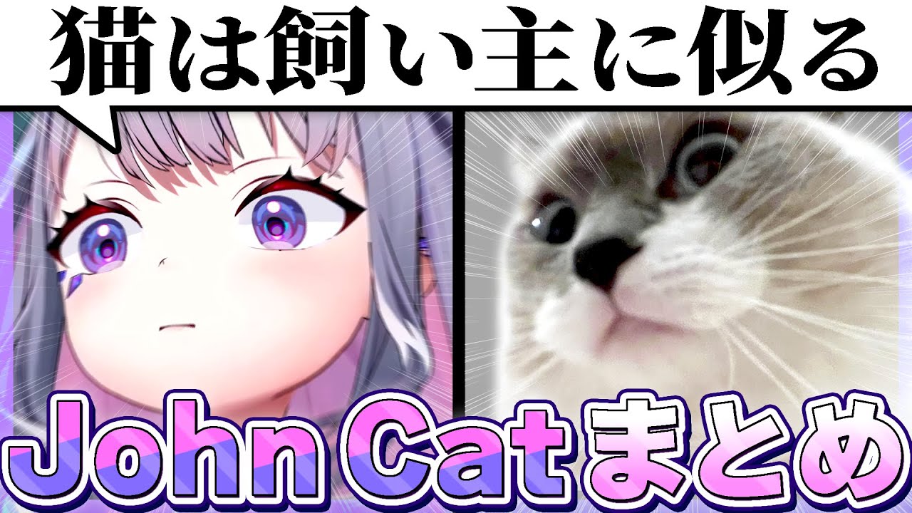 いたずら破天荒ペットJohn catのエピソードまとめ【ホロライブEN翻訳切り抜き/ビブー/古石ビジュー】