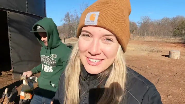 All About The Ranch Animals! | Not a Grain Silo Barn Gets Spruced Up