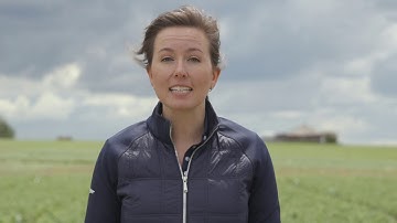 Managing Fungicide Resistance in Pulses | BASF