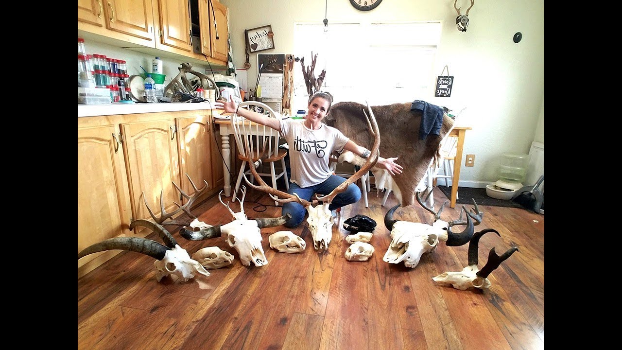 New skull-beading projects!