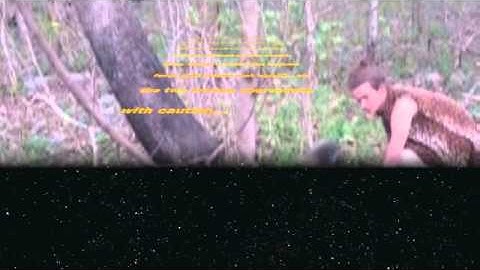 UNC PSYC 230: Independent Language Learning