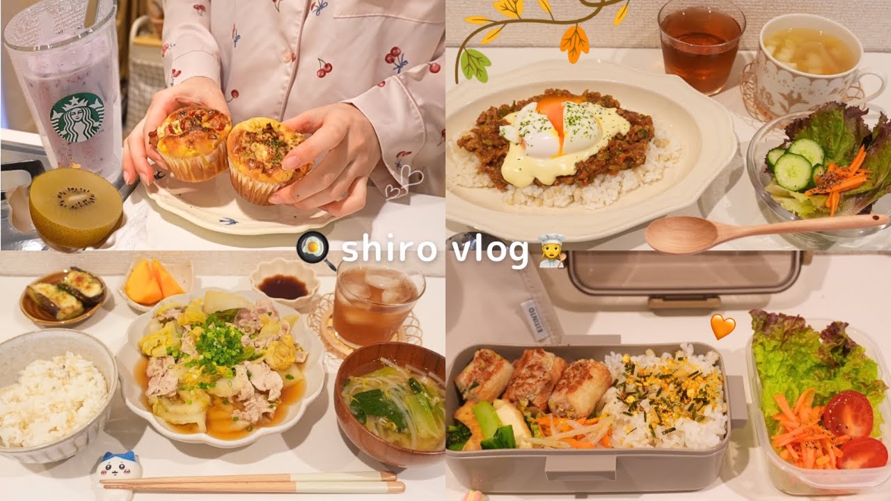 【 食費月一万円 】一人暮らし社会人の節約を楽しむお弁当とおうちごはん🍚 / 作り置きミニパン👩‍🍳🥐 / 10月生活費公開📔