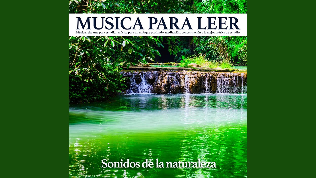 Musica Relajante Para Estudiar - Song Download from Musica para  Concentracion - Canciones Relajantes y Sonidos Ambientales para Estudiar y  Trabajar con Tecnicas de Concentracion @ JioSaavn