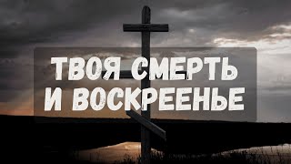 Твоя смерть и воскресенье || Квартет