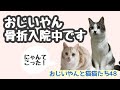 #48 おじいやん骨折入院中です。