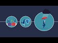 Ready for Anything? Turbulence and the Resilience Imperative