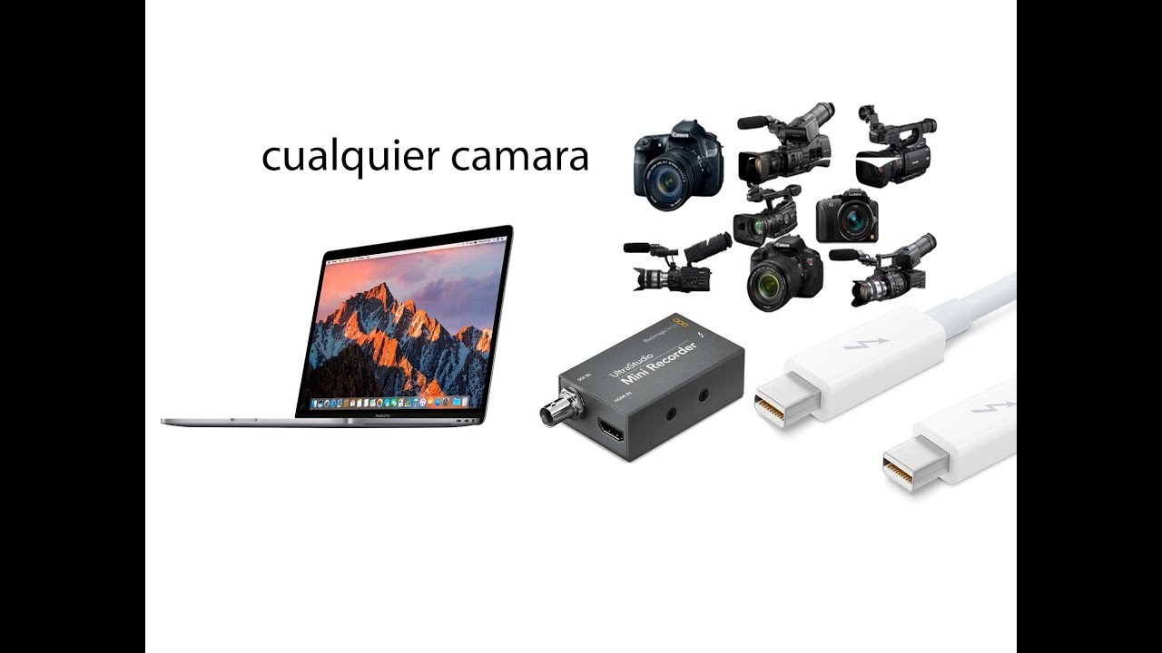 NUESTROS PRODUCTOS