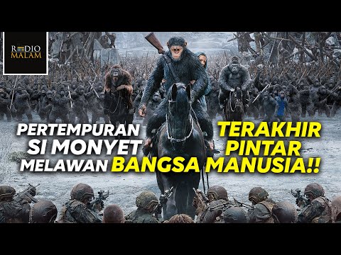 Video: Penggunaan kenderaan berperisai Jerman pada zaman selepas perang