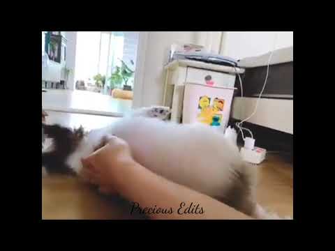 TAEYONG Last video with Ruby - 태용 루비의 마지막 영상