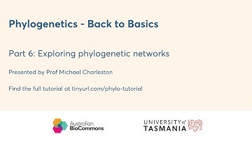 Part 6: Exploring phylogenetic networks