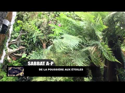 leçon-13-:-sabbat-après-midi-21-mars-2020,-de-la-poussière-aux-étoiles