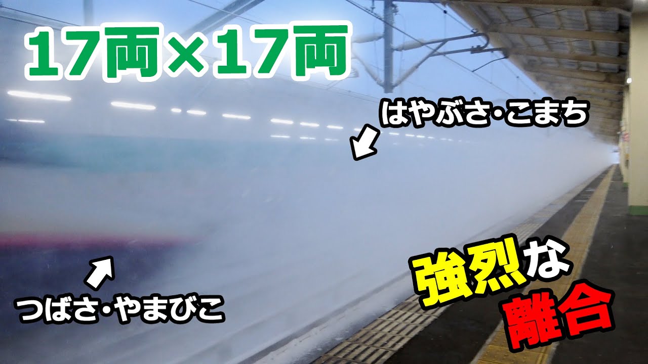 大雪の中17両同士の新幹線が離合するとこうなります！