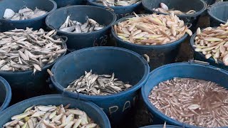 Libas Fishing Port Roxas City, Capiz, Philippines