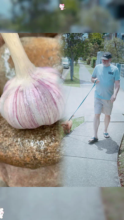 #funny #lifeisbutadream #comedymovies #pov