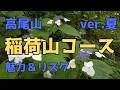 〘ver.夏〙高尾山・稲荷山コースの紹介🌻地元情報