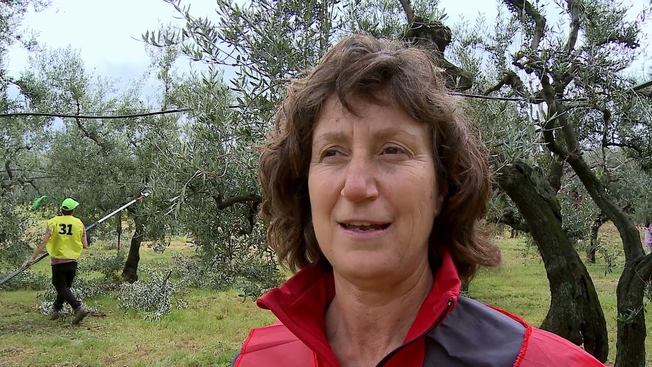 Potatura a vaso policonico in pratica