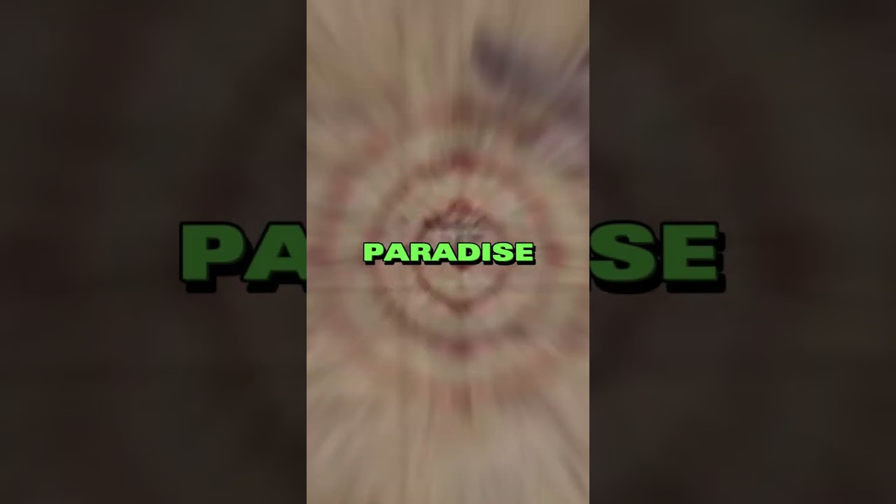 Paradis VS Marley - Overall Comparison 