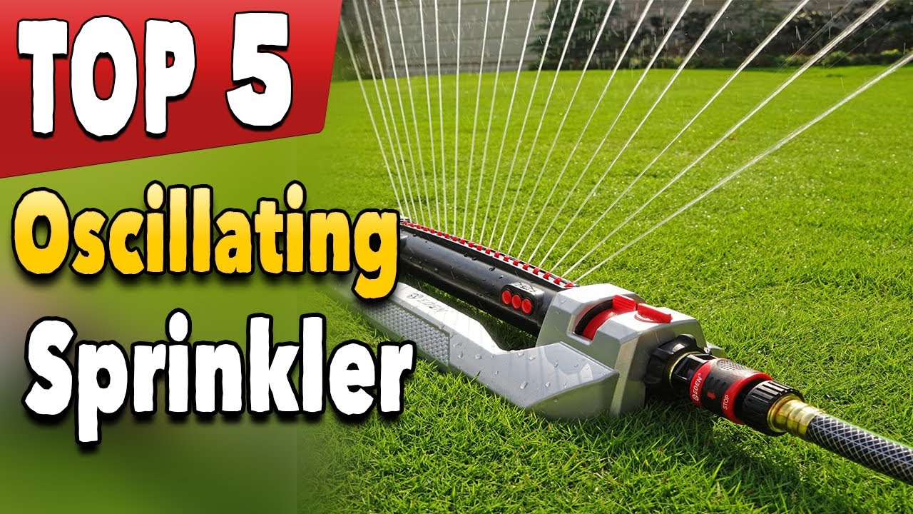 Best Oscillating Sprinkler For Small Lawn YouTube