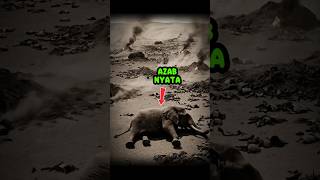 Download Lagu MERINDING! Detik-detik Tubuh Raja Abrahah Meleleh Dimakan Burung Ababil 😱 MP3