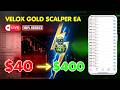 💰"$40 → $400 Profit in 49 Min | xauusd live l Velox gold scalper l gold live trading Trading live"