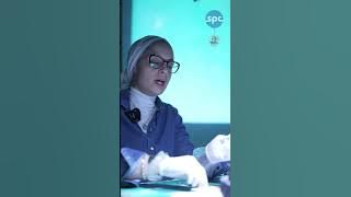 Dr. Nehal Nabil Integrated Endodontic