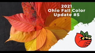 2021 Ohio Fall Color Update #5