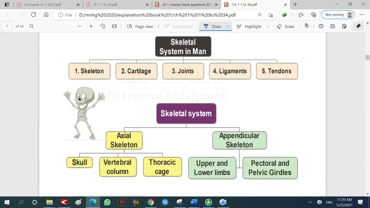 ملخص منهج الاحياء لغات البيولوجي لتالتة ثانوي 2023 في 9 ساعات ونصف فقط - summary of biology
