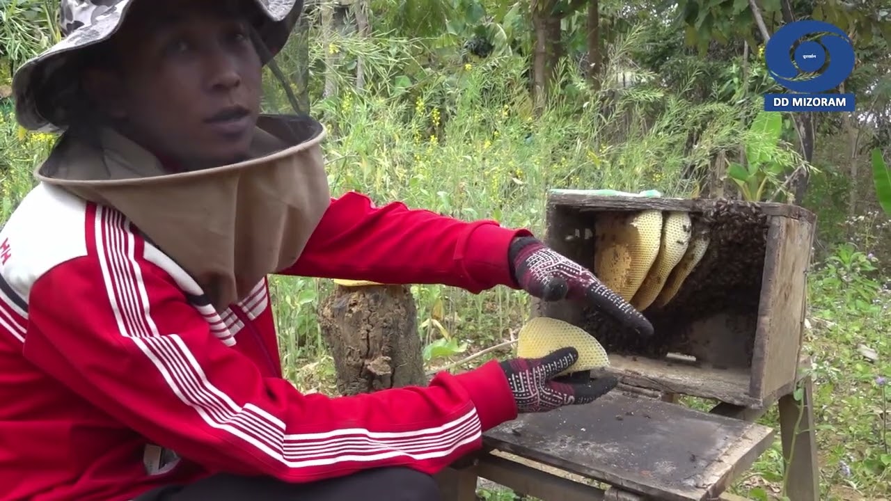 DDK kut hnathawktute pual :- 