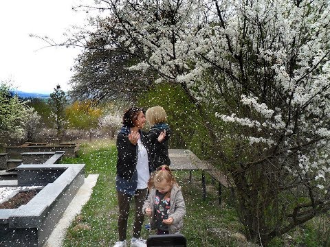 აღდგომა 2018