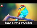 鳥のスピリチュアルな意味とは？