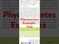 Phycomycetes examples Fungi #shorts #biology #biologybook #neet #neetbiology #ncert #ncertbiology