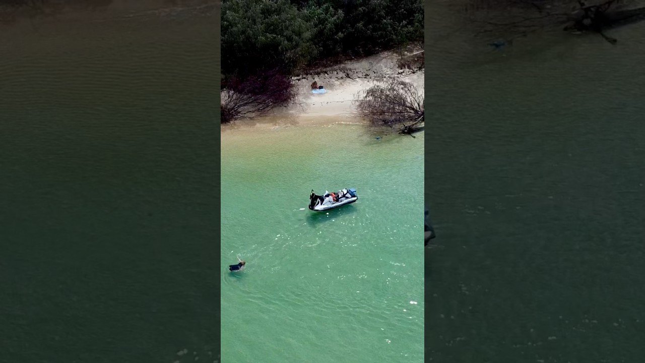 🧡 Saturday run 👌Quick mornin play😜👌