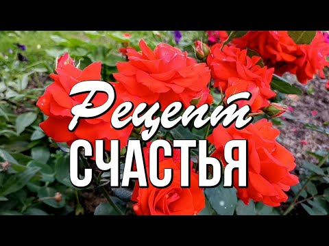 Будьте счастливы! Рецепт Счастья - нежность, радость, любовь по 1 ложке сколько хочется раз в день!