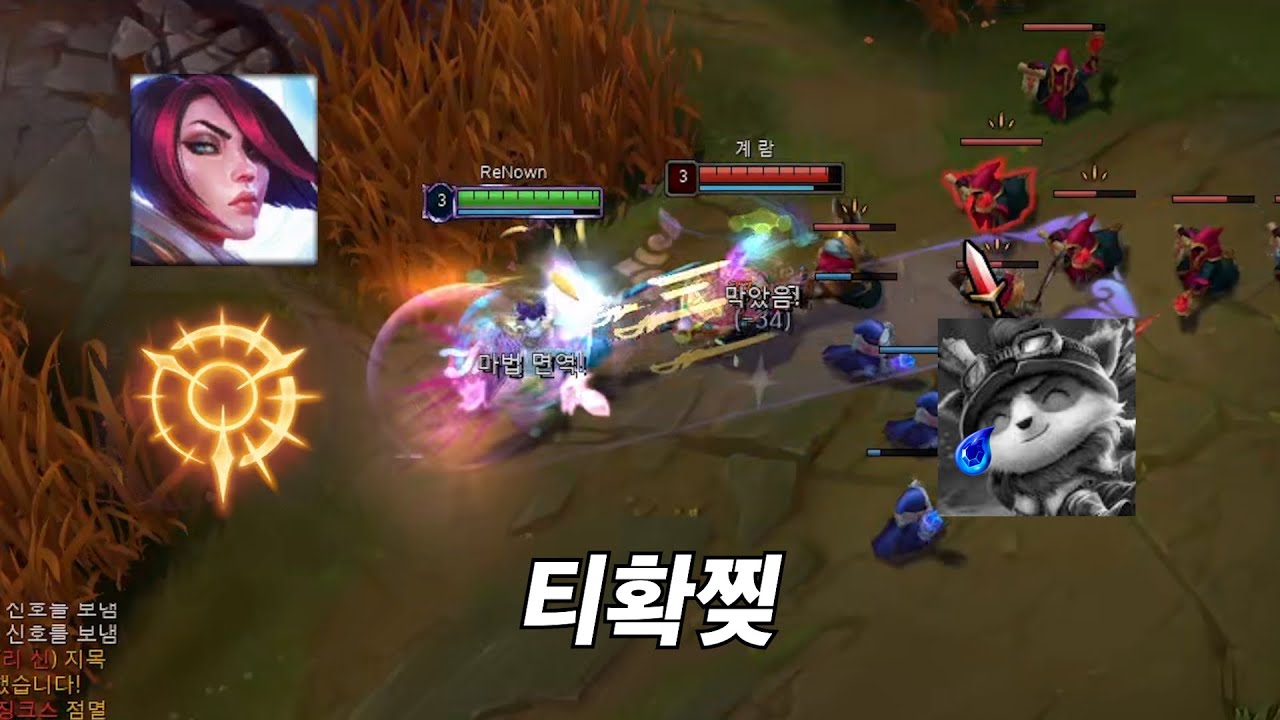 티모 상대로 드는 집공피오라 [피오라 강의]