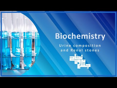 urine composition and renal stones, bio L4