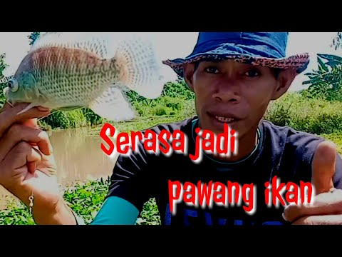 cara-membuat-ikan-cepat-berkumpul-dan-betah-di-tempat-kita-mancing