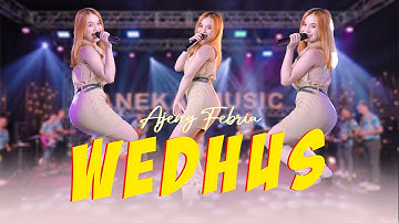 Ajeng Febria - WEDHUS (Official Music Video ANEKA SAFARI)