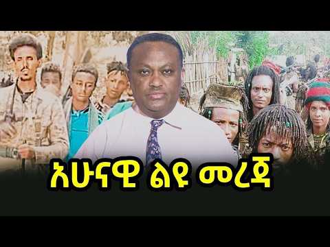 አሁናዊ ልዩ መረጃ 15/11/18 | salis