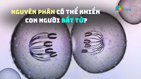 KHTN 9| Giải pháp bất tử của nhân loại_NGUYÊN PHÂN?