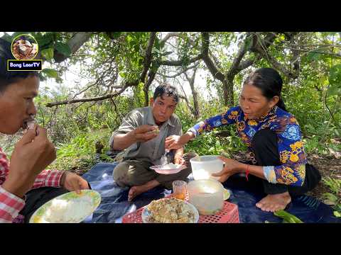 ឃ្មុំតាមកោះមានរសជាតិឈ្ងុយឆ្ងាញ់ ធម្មជាតិបៃតងល្អ MY BEST NATURE ON THIS ISLAND HIGH QUALITY 4K VIDEO