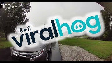 Lightning Shocks Nearby Tree || ViralHog