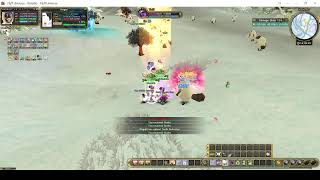 Flyff UNiverse-Blade 1v1